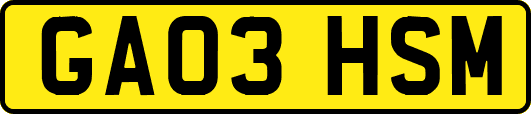 GA03HSM