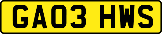 GA03HWS