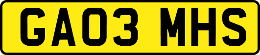 GA03MHS