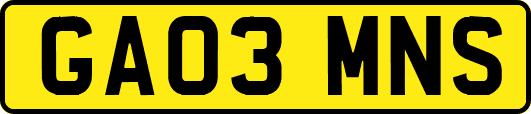 GA03MNS