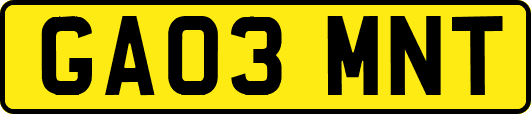 GA03MNT