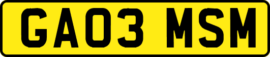 GA03MSM