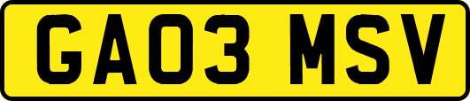 GA03MSV