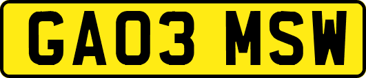 GA03MSW