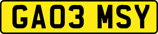GA03MSY