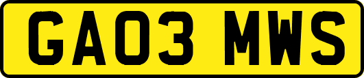 GA03MWS