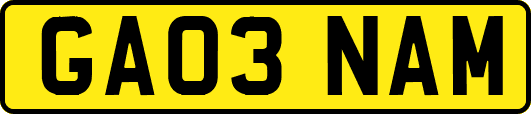 GA03NAM