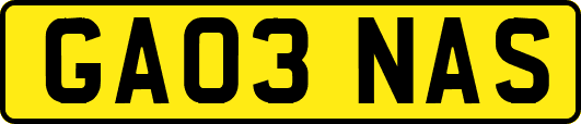 GA03NAS