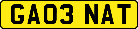 GA03NAT