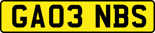 GA03NBS