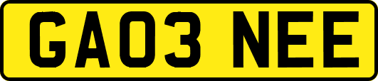 GA03NEE