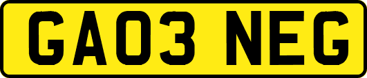 GA03NEG
