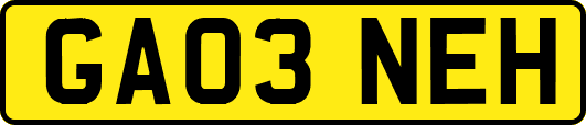 GA03NEH