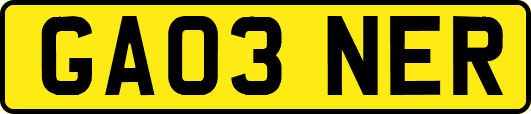 GA03NER