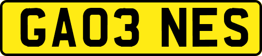 GA03NES