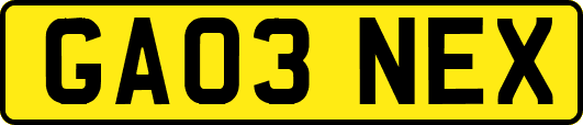 GA03NEX