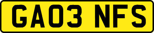 GA03NFS