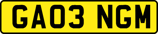 GA03NGM