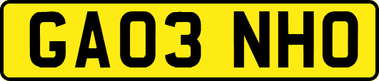 GA03NHO