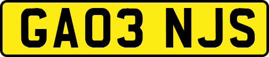 GA03NJS
