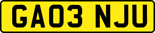GA03NJU