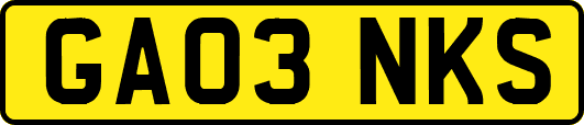 GA03NKS