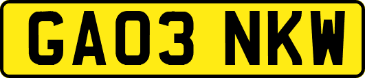 GA03NKW