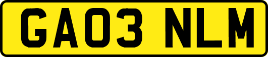 GA03NLM