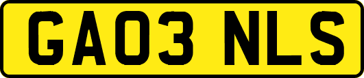 GA03NLS