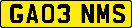 GA03NMS