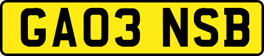 GA03NSB