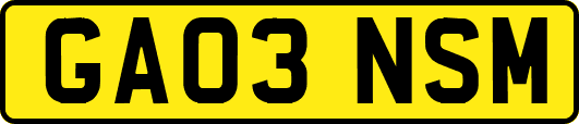 GA03NSM