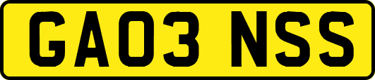 GA03NSS