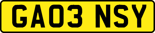 GA03NSY