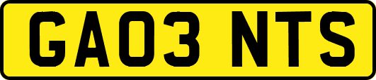 GA03NTS