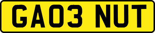 GA03NUT