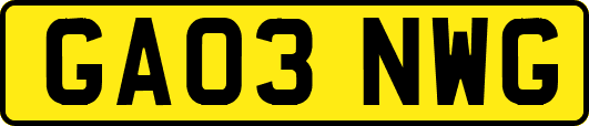 GA03NWG