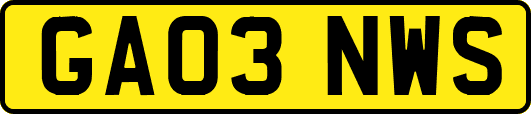 GA03NWS