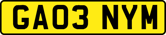 GA03NYM