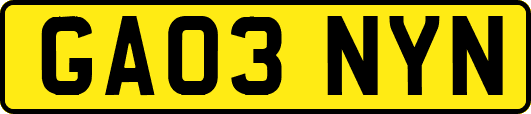 GA03NYN