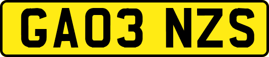 GA03NZS