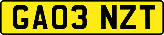 GA03NZT