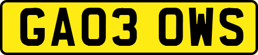 GA03OWS