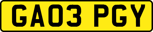 GA03PGY
