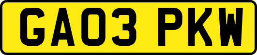 GA03PKW