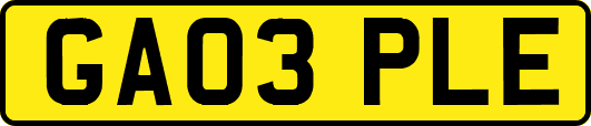 GA03PLE