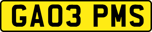 GA03PMS