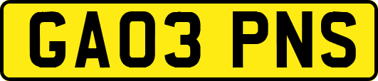GA03PNS