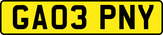 GA03PNY