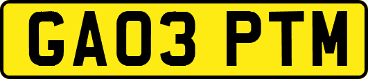 GA03PTM
